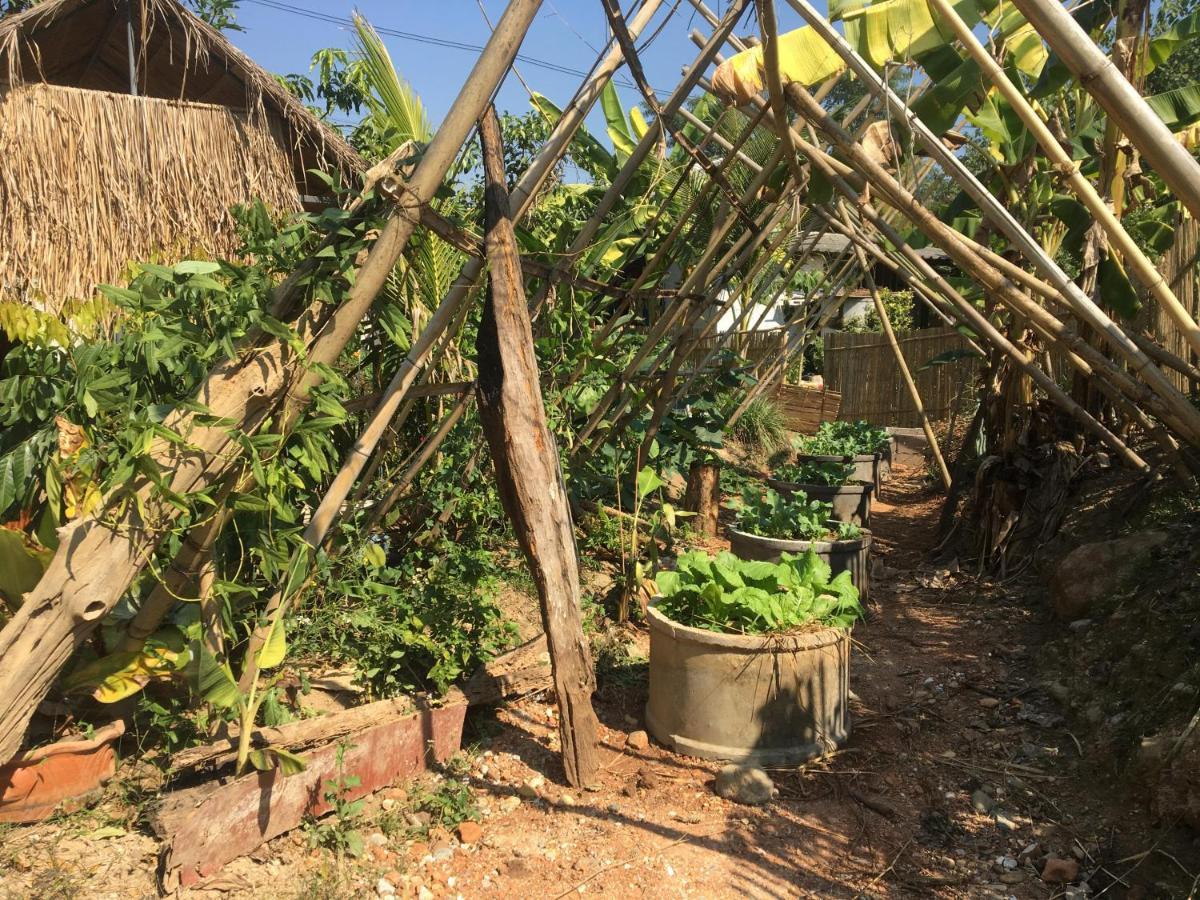 Thong Family Homestay Chiangdao Chiang Dao Eksteriør billede