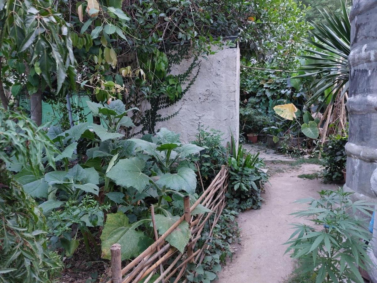 Thong Family Homestay Chiangdao Chiang Dao Eksteriør billede