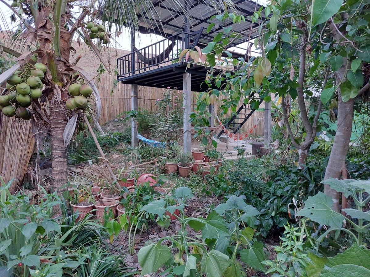 Thong Family Homestay Chiangdao Chiang Dao Eksteriør billede