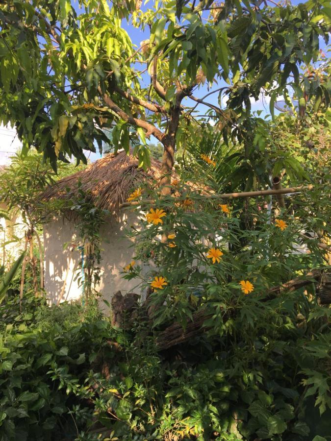 Thong Family Homestay Chiangdao Chiang Dao Eksteriør billede